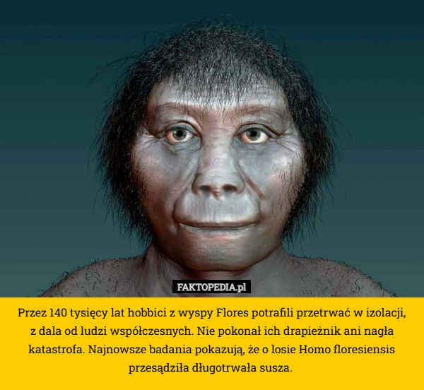 
    Przez 140 tysięcy lat hobbici z wyspy Flores potrafili przetrwać w izolacji,