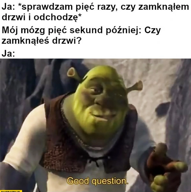 Shrek ja: sprawdzam czy zamknąłem drzwi, mój mózg pięć sekund później: czy zamknąłeś drzwi? Dobre pytanie