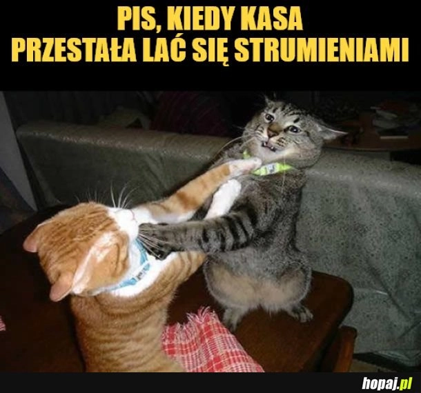 PiS.