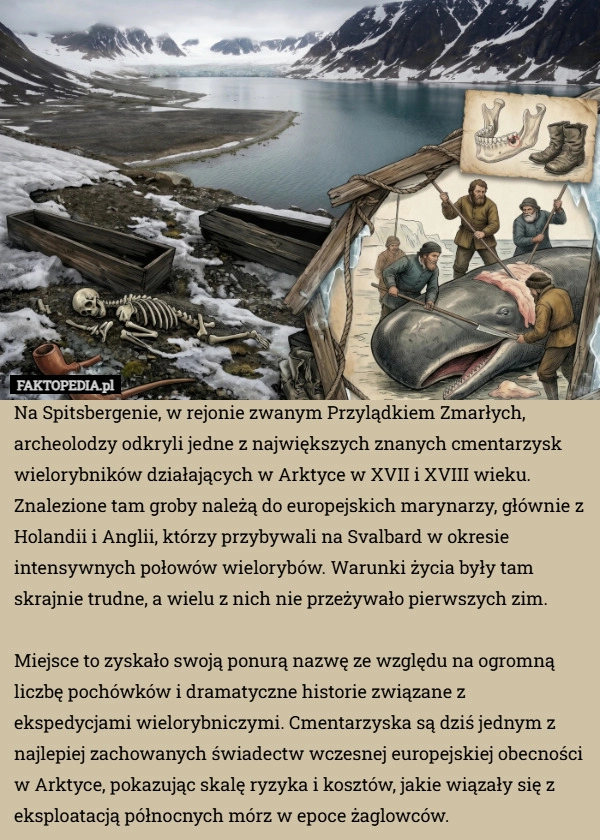 
    Na Spitsbergenie, w rejonie zwanym Przylądkiem Zmarłych, archeolodzy odkryli
