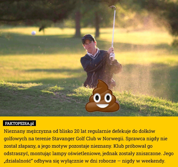 Nieznany mężczyzna od blisko 20 lat regularnie defekuje do dołków golfowych