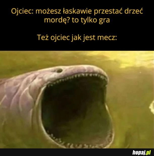 
    Typowy ojciec