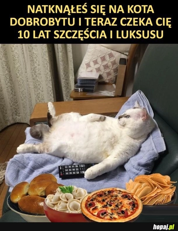 
    O tak To prawda potwierdzona xd