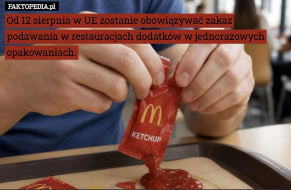Od 12 sierpnia w UE zostanie obowiązywać zakaz podawania w restauracjach