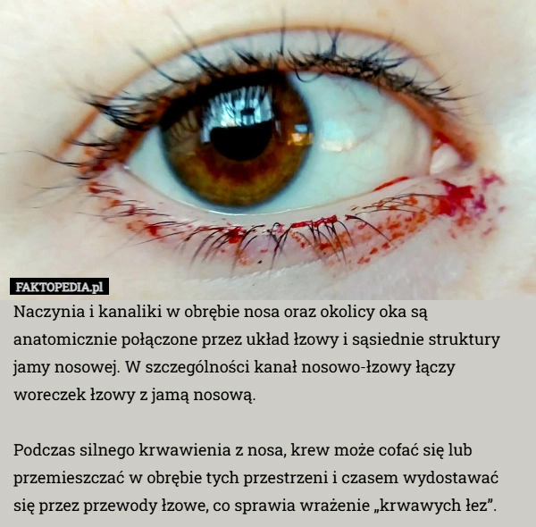 
    Naczynia i kanaliki w obrębie nosa oraz okolicy oka są anatomicznie połączone
