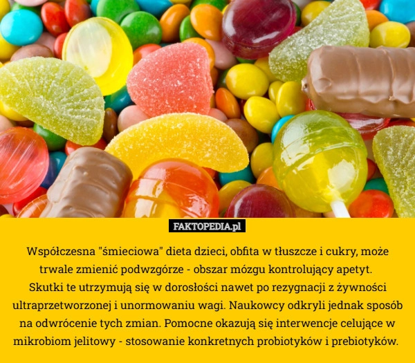 Współczesna "śmieciowa" dieta dzieci, obfita w tłuszcze i cukry,