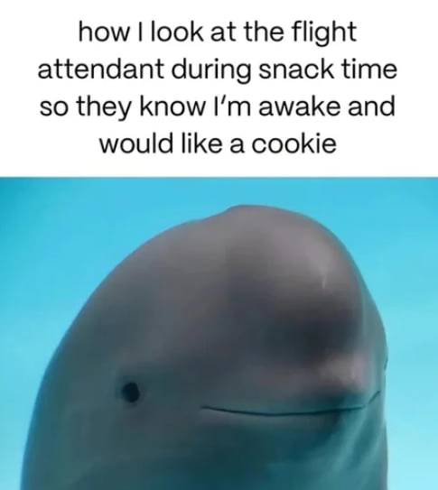 
    ‎ ‎ ‎ ‎ ‎ ‎ ‎ ‎ ‎ ‎ ‎ ‎