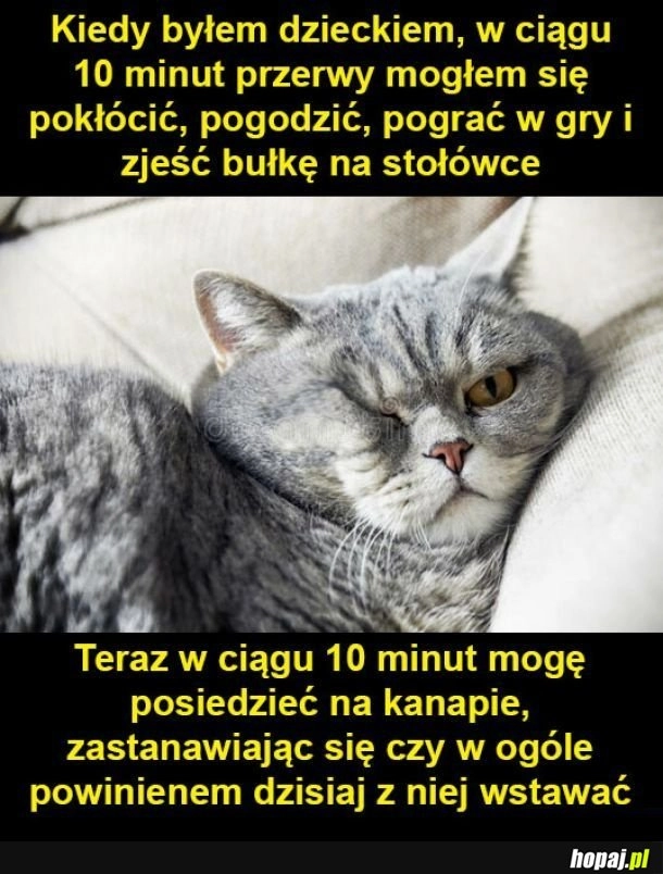 Brak czasu