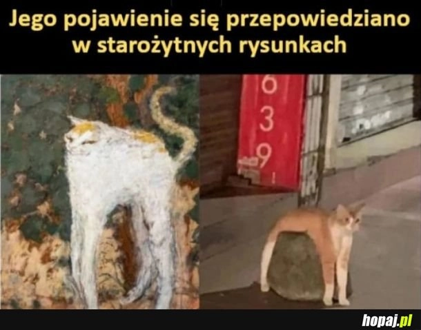 
    Przepowiednia