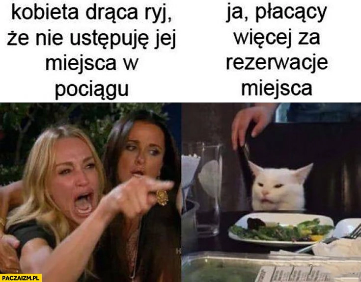 
    Kobieta drąca ryj, że nie ustępuje jej miejsca w pociągu vs kot ja płacący więcej za rezerwację miejsca