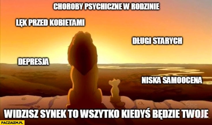 
    Choroby psychiczne w rodzinie, lęk przed kobietami, długi starych, depresja, niska samoocena, Król Lew widzisz synek to wszystko kiedyś będzie Twoje