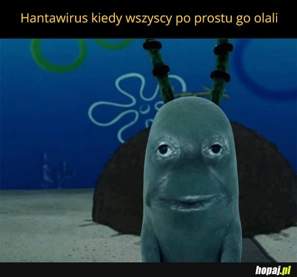 
    Największy niewypał tego roku