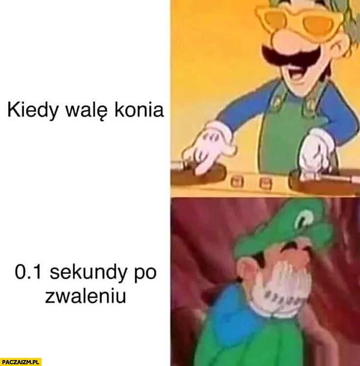 
    Kiedy robię sobie dobrze jak DJ na imprezie vs 0,1 sekundy po załamany