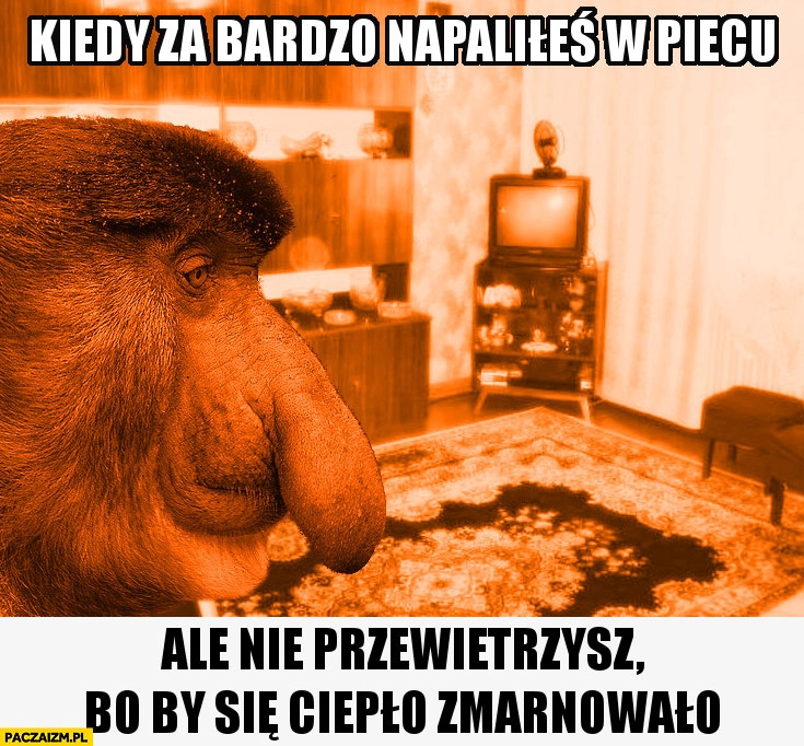 
    Kiedy za bardzo napaliłeś w piecu ale nie przewietrzysz bo by się ciepło zmarnowało