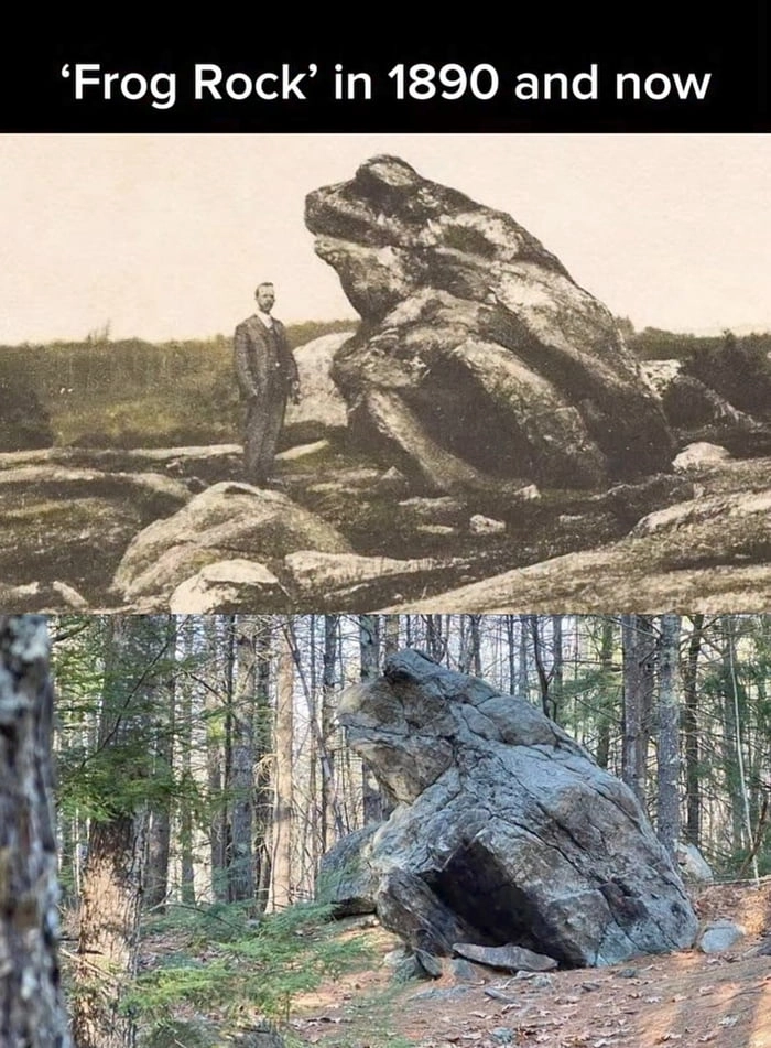 It's Wednesday my dudes