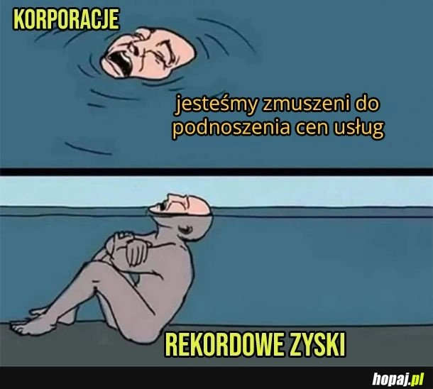 Korporacje