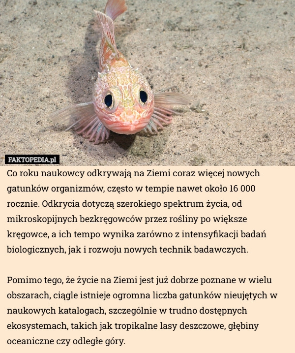 Co roku naukowcy odkrywają na Ziemi coraz więcej nowych gatunków organizmów,