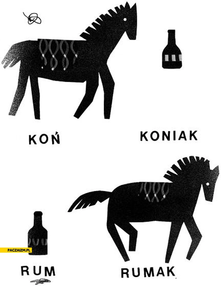 
    Koń koniak rum rumak