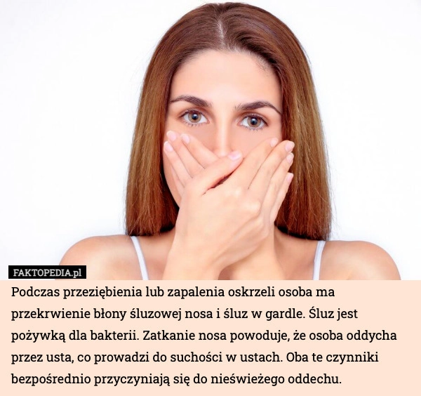 
    Podczas przeziębienia lub zapalenia oskrzeli osoba ma przekrwienie błony