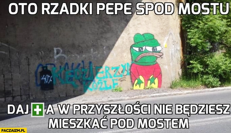 
    Oto rzadki Pepe spod mostu daj plusa a w przyszłości nie będziesz mieszkać pod mostem