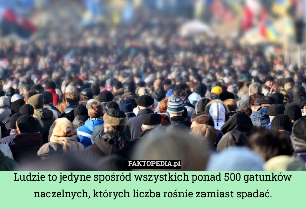 
    Ludzie to jedyne spośród wszystkich ponad 500 gatunków naczelnych, których