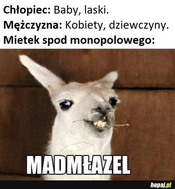 
    Mietek
