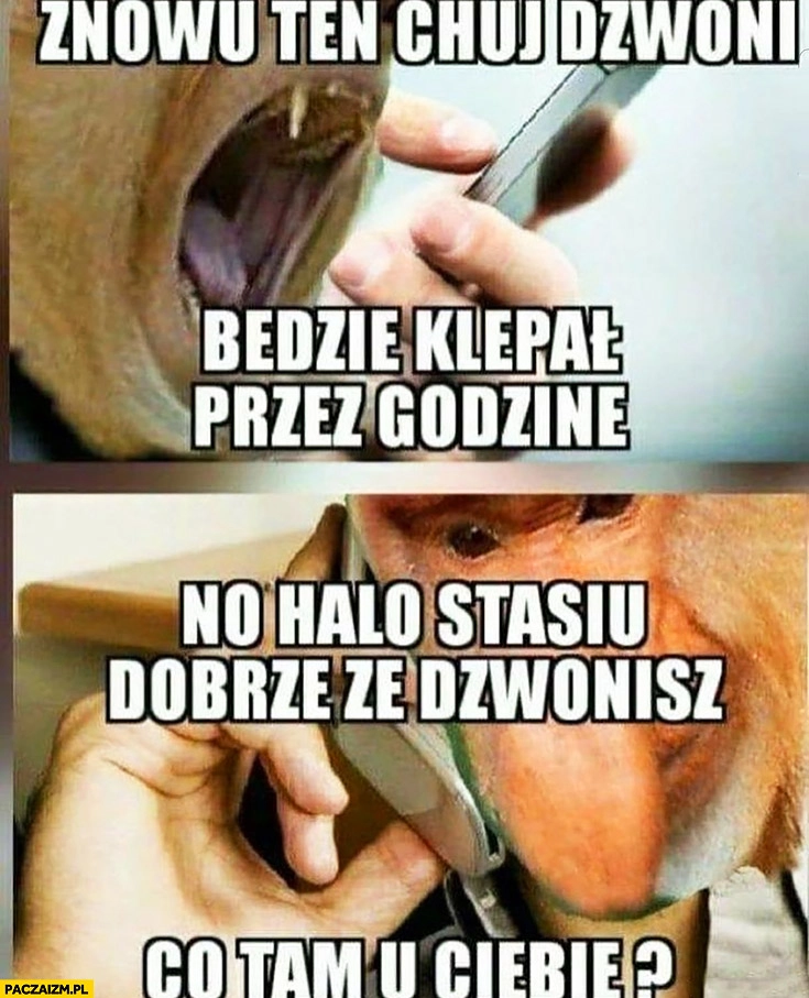 
    Znowu ten cham dzwoni będzie klepał przez godzinę, no halo Stasiu dobrze, że dzwonisz co tam u Ciebie typowy Polak nosacz małpa