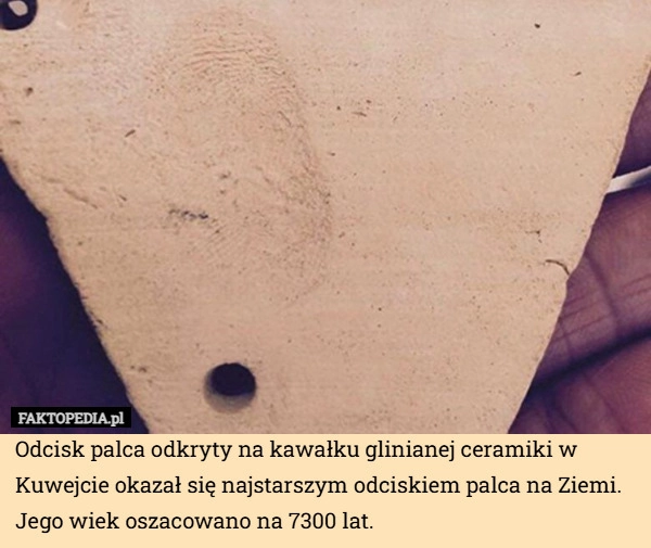 
    Odcisk palca odkryty na kawałku glinianej ceramiki w Kuwejcie okazał się