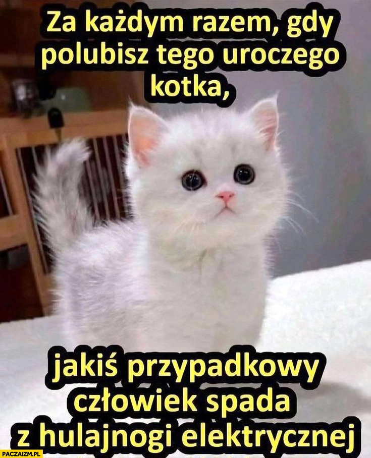 
    Za każdym razem gdy polubisz tego uroczego kotka jakiś przypadkowy człowiek spada z hulajnogi elektrycznej