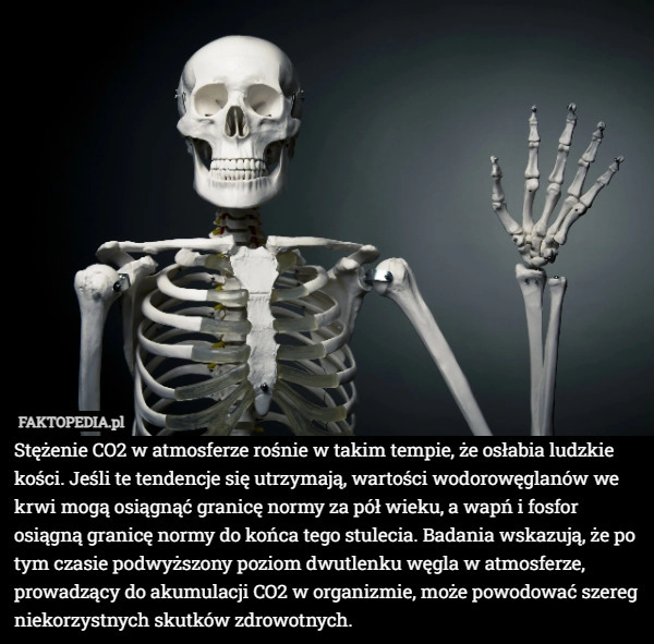 Stężenie CO2 w atmosferze rośnie w takim tempie, że osłabia ludzkie kości.