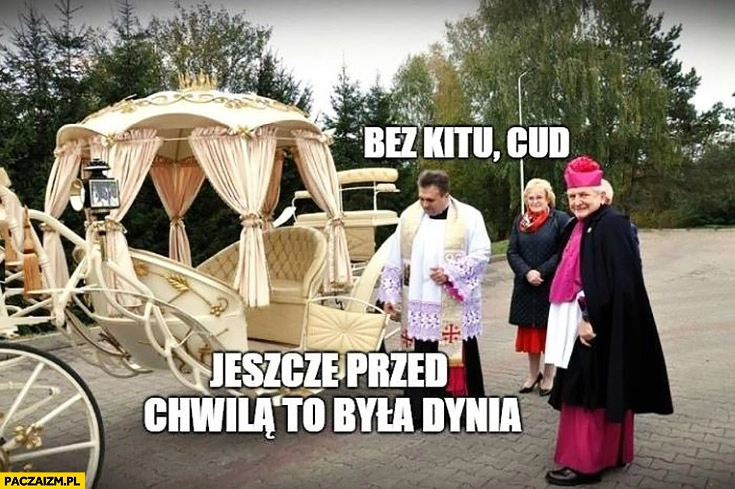 
    Ksiądz bez kitu cud jeszcze przed chwila to była dynia karoca dorożka
