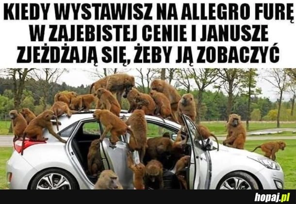 Janusze