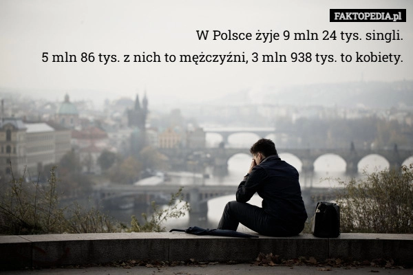 
    W Polsce żyje 9 mln 24 tys. singli.
5 mln 86 tys. z nich to mężczyźni, 3