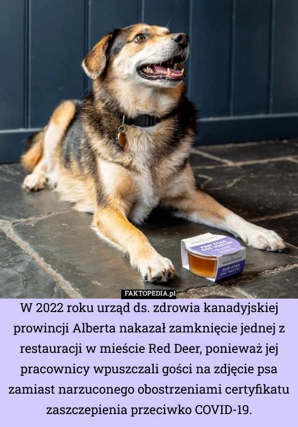 W 2022 roku urząd ds. zdrowia kanadyjskiej prowincji Alberta nakazał zamknięcie