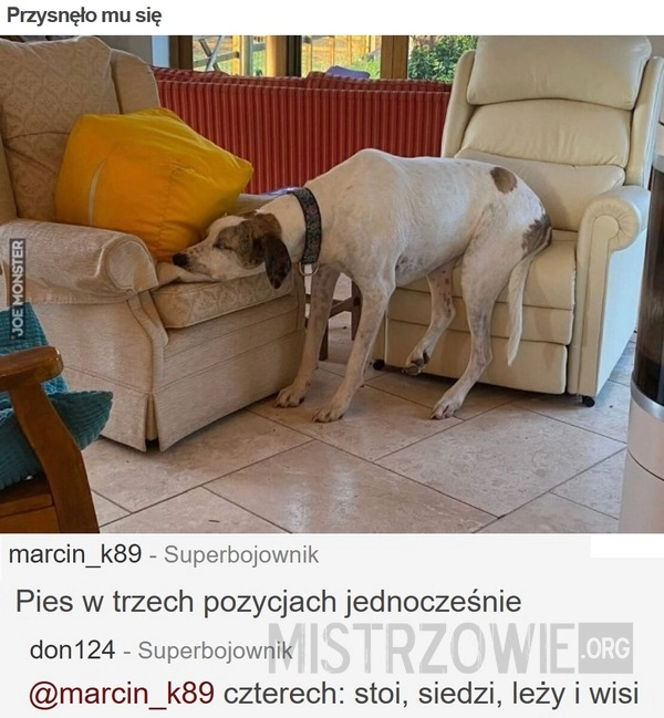 Przysnęło mu się