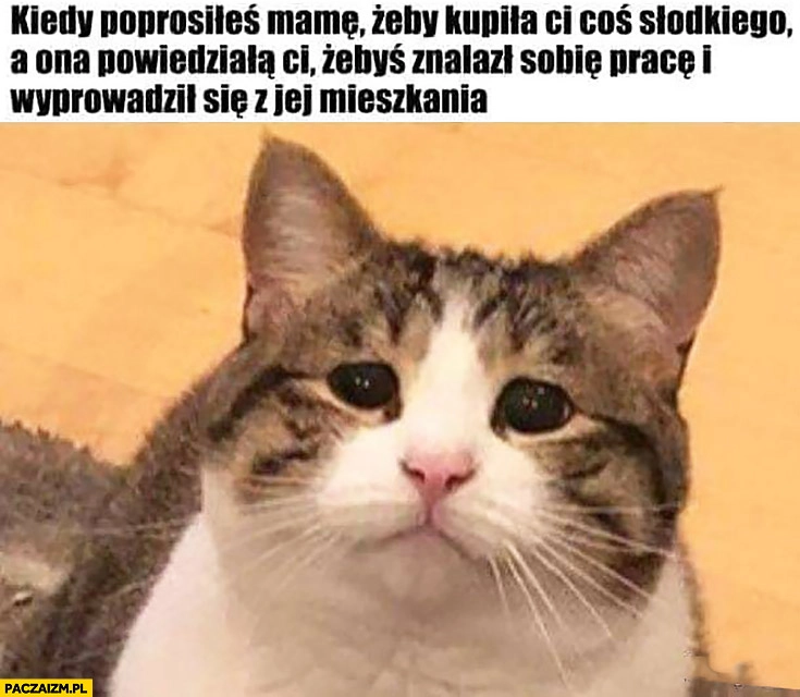 
    Kot kiedy poprosiłeś mamę żeby kupiła Ci coś słodkiego a ona powiedziała Ci żebyś znalazł sobie prace i wyprowadził się z jej mieszkania