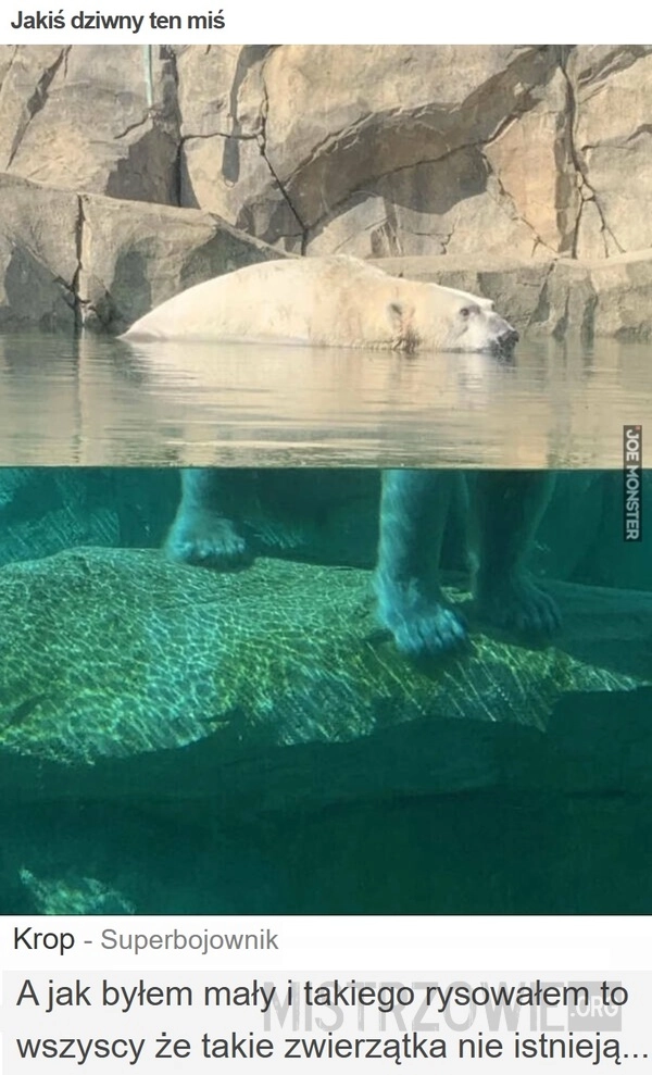 Jakiś dziwny ten miś