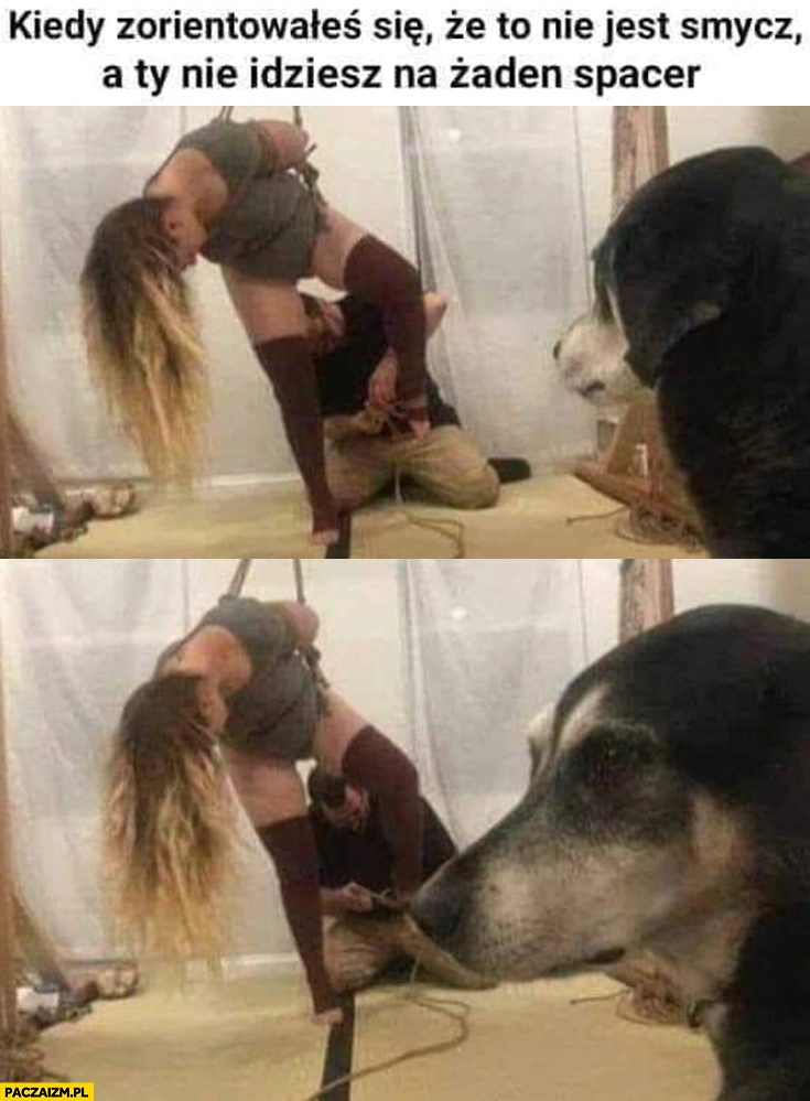 Pies kiedy zorientowałeś się, że to nie jest smycz a Ty nie idziesz na żaden spacer laska dziewczyna wisi