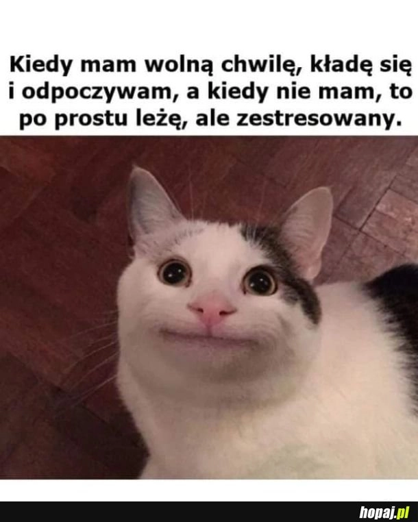 Leżenie