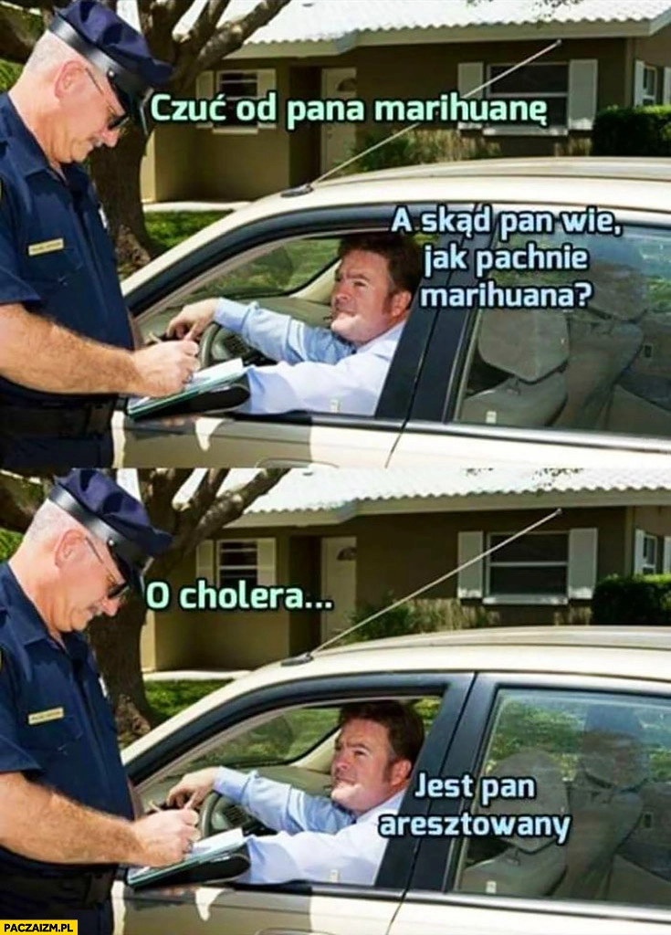 
    Policjant do kierowcy: czuć od pana marihuanę, skąd pan wie jak pachnie marihuana? O cholera, jest pan aresztowany