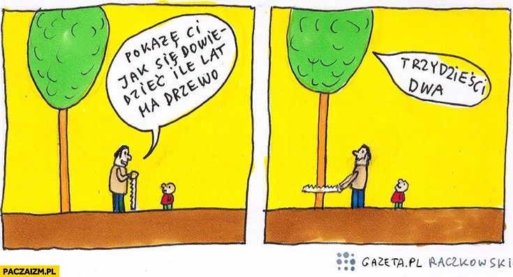 
    Pokażę Ci jak się dowiedzieć ile lat ma drzewo, trzydzieści dwa Raczkowski