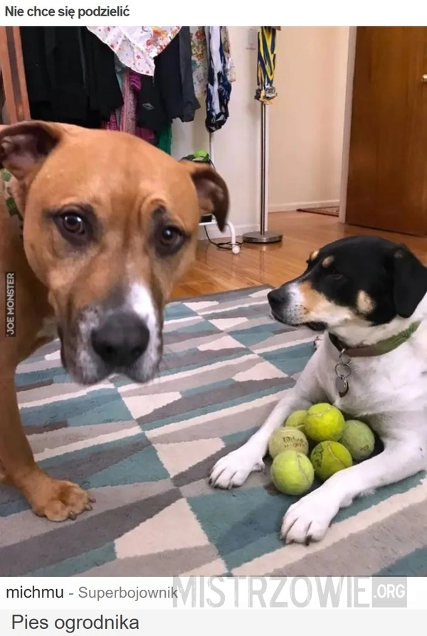 Nie chce się podzielić