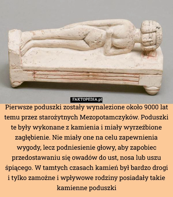
    Pierwsze poduszki zostały wynalezione około 9000 lat temu przez starożytnych
