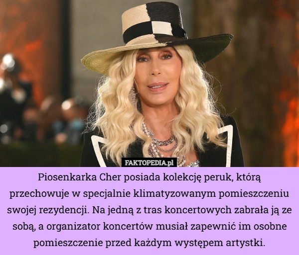 
    Piosenkarka Cher posiada kolekcję peruk, którą przechowuje w specjalnie...