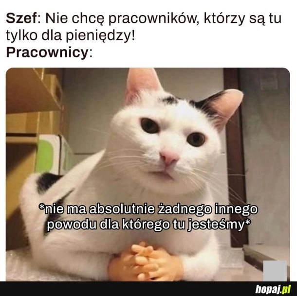 Praca