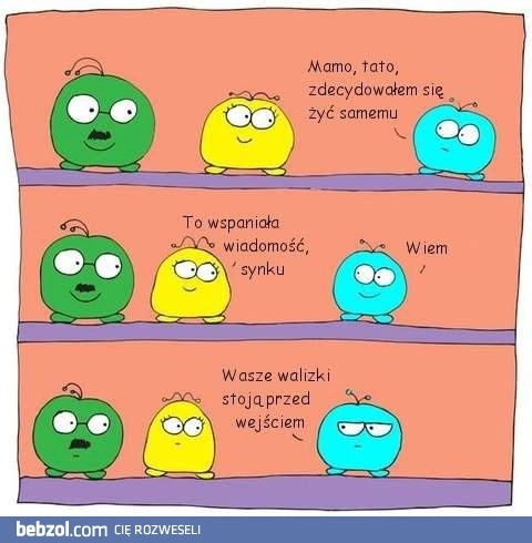 
    Samodzielność