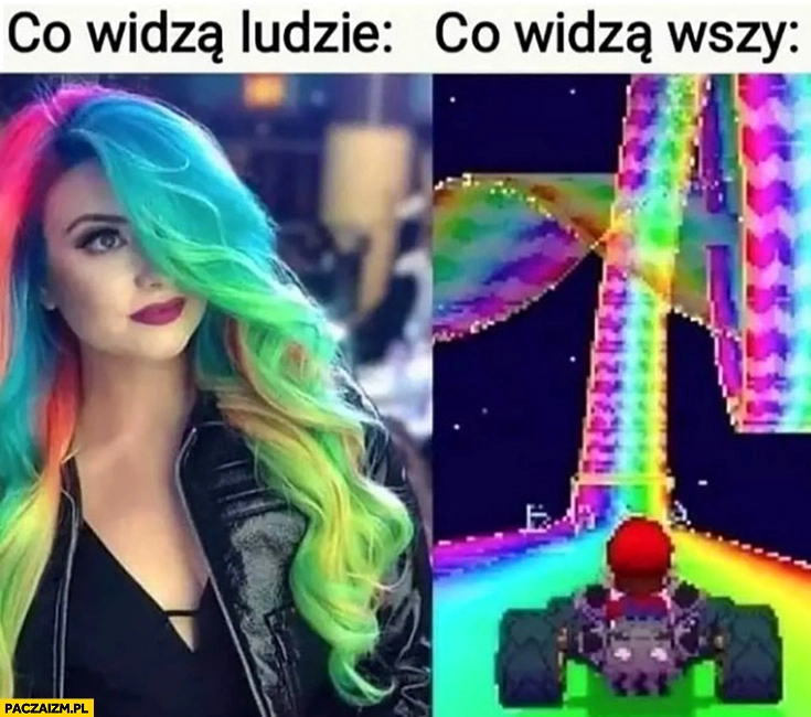 Laska kolorowe włosy co widzą ludzie vs co widzą wszy