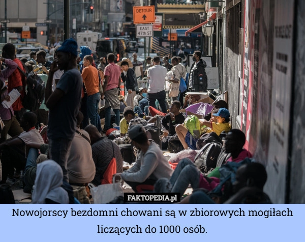 Nowojorscy bezdomni chowani są w zbiorowych mogiłach liczących do 1000 osób.