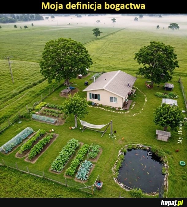 Moja definicja bogactwa