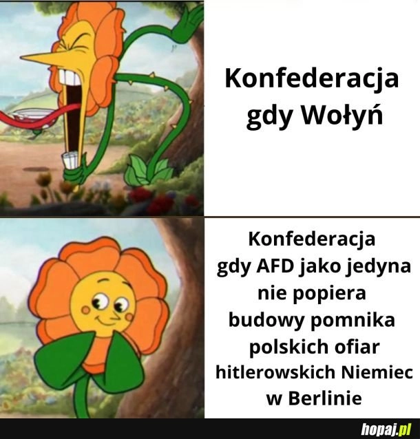 'Najbardziej propolska partia w Niemczech'